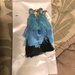 Blue and black tassel earrings